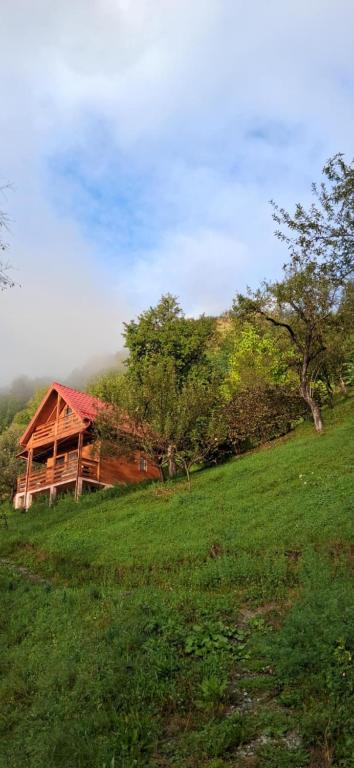 Cabana Ulmului, Vişeu de Sus