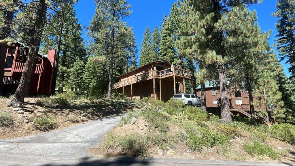 Wolf Tree Wonder, Truckee