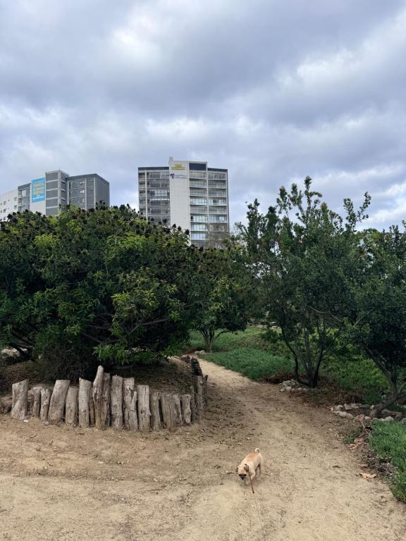 Modern 2BR Ocean View Pool & Kids Area CheckIn 2PM - 4