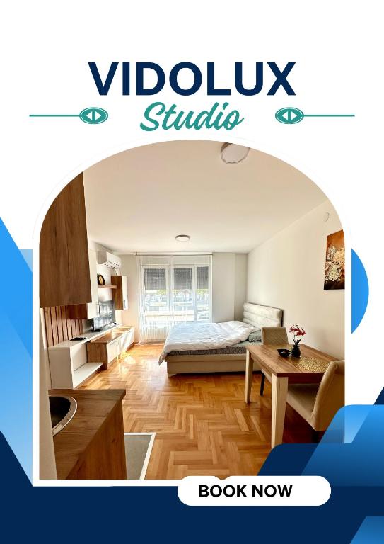 Vidolux Studio, Niš