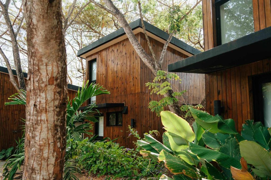 Body - Oceanfront Jungle Loft, Playa Venao