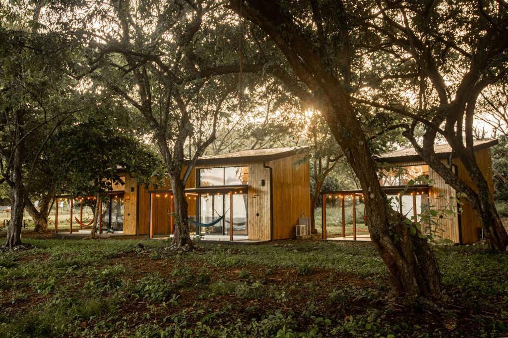 Mind - Oceanfront Jungle Loft, Playa Venao