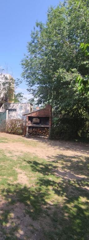 Tintes de otoño - 2