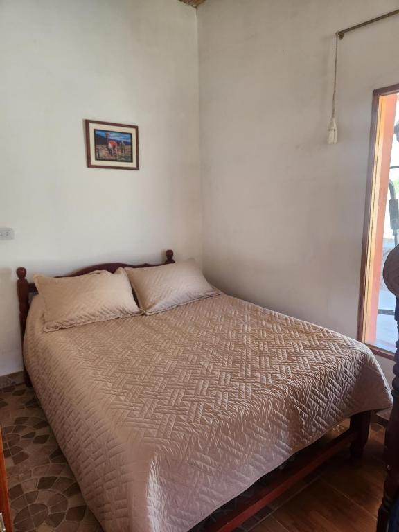 Wayra del Cerro - 3