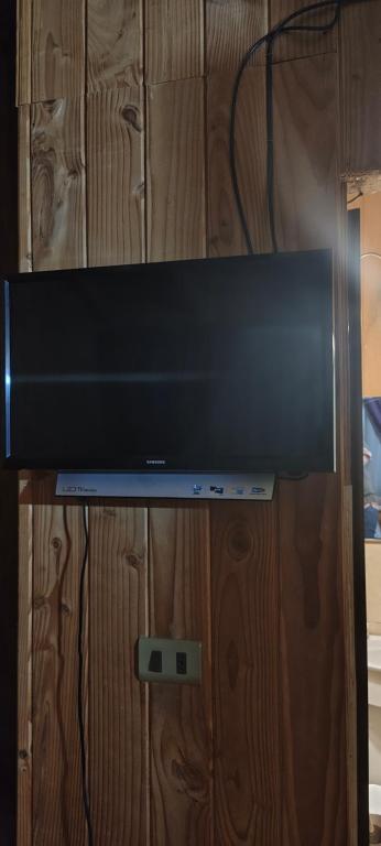 Como florcita en la mata - 4