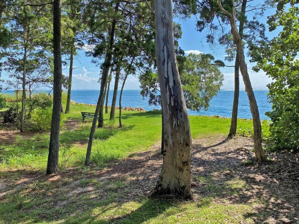 Amity Seaside, Amity Point