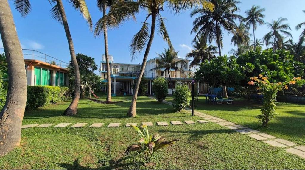 Dickwella La Minor, Dikwella