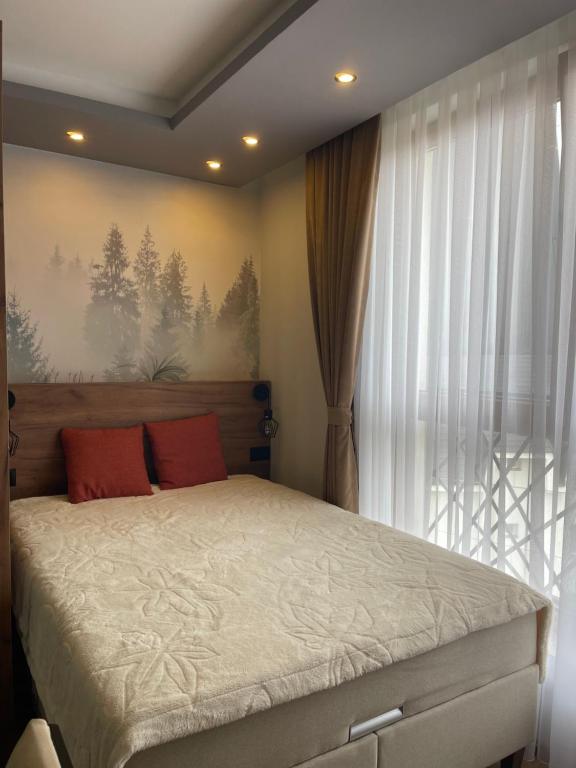 Evergreen Lux - 3