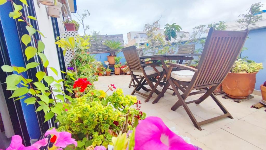 Cosy flat in pretty seaside town - 1