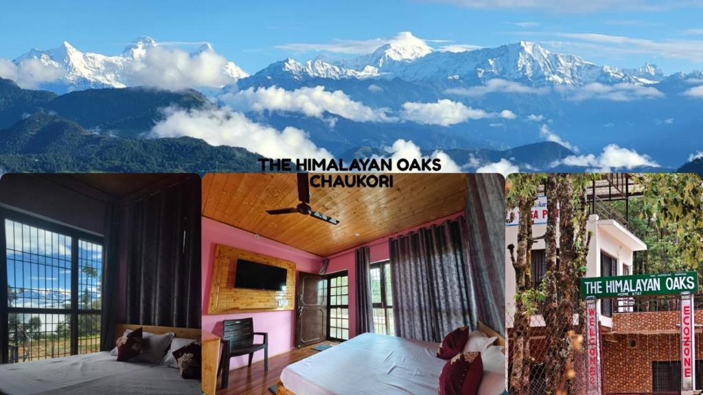 The Himalayan Oaks, Chaukori