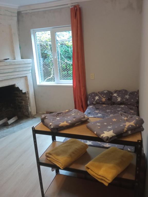 studio with a fireplace, Zugdidi