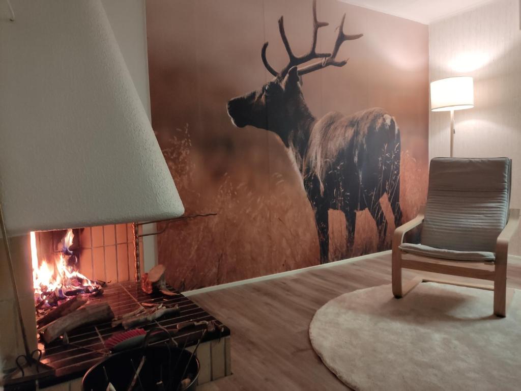 Revontuli House, Kemi