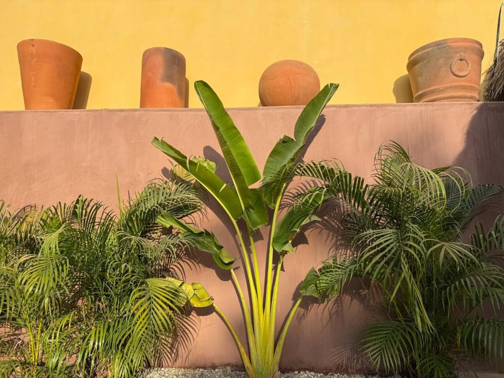 New in La Punta - Casa Moka - 2