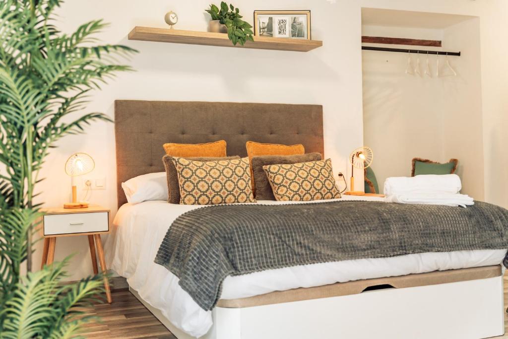 Apure Apartment - Downtown La Laguna - 3