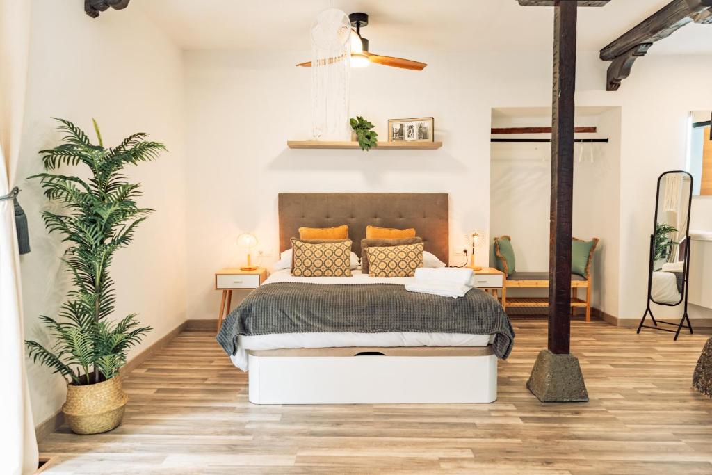 Apure Apartment - Downtown La Laguna - 2
