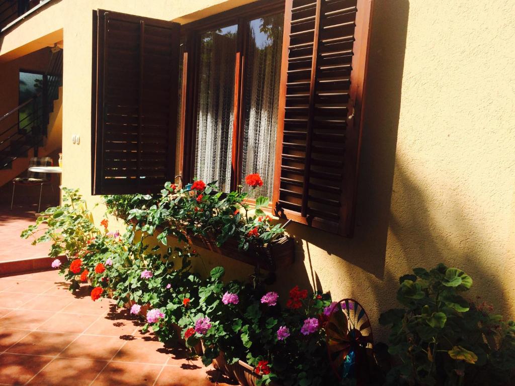 Morava Garden Resort photo