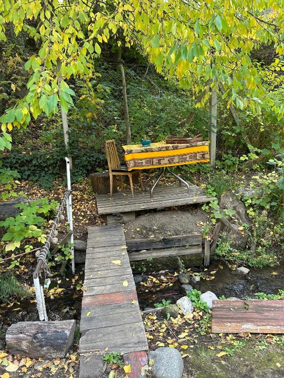 Monoambiente céntrico con hermoso patio - 3