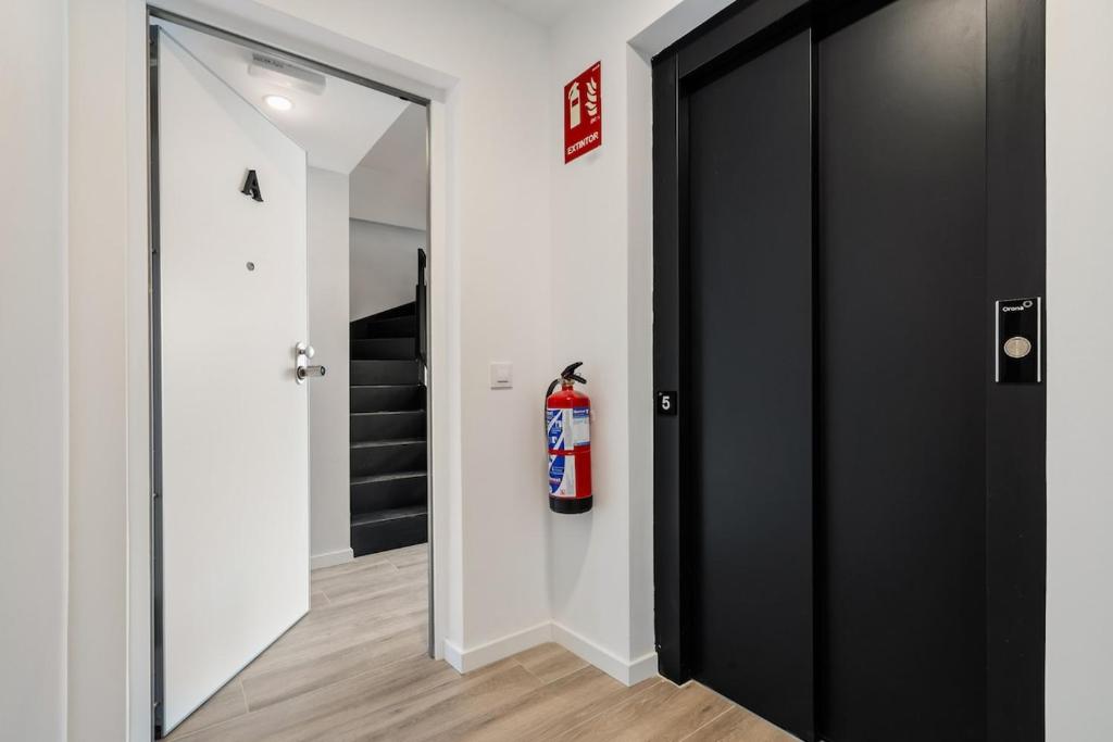Accessible flat near the Toledo Bridge - 5A - 5