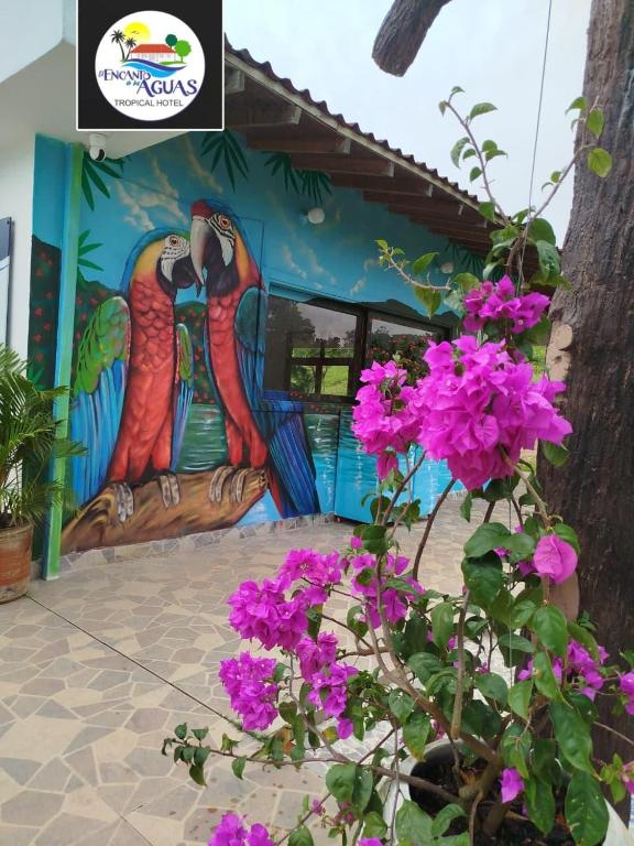 El Encanto de las Aguas - 4