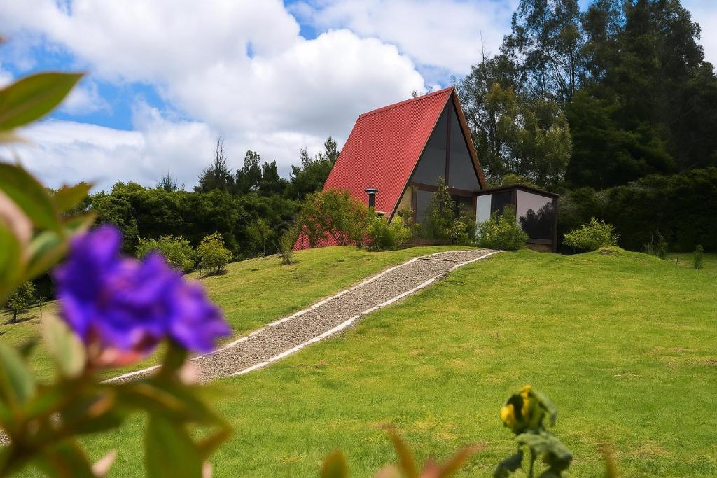El valle Muisca - 1