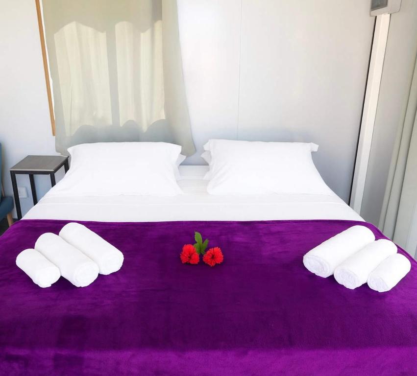 Fare Miri Miri, Haapiti