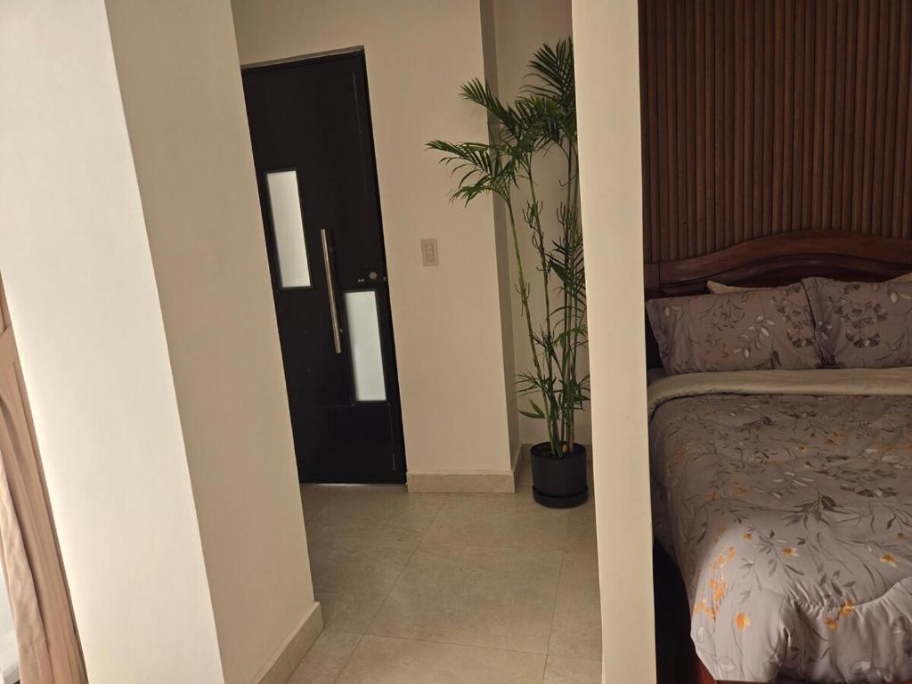 La casa del ensueño - 5