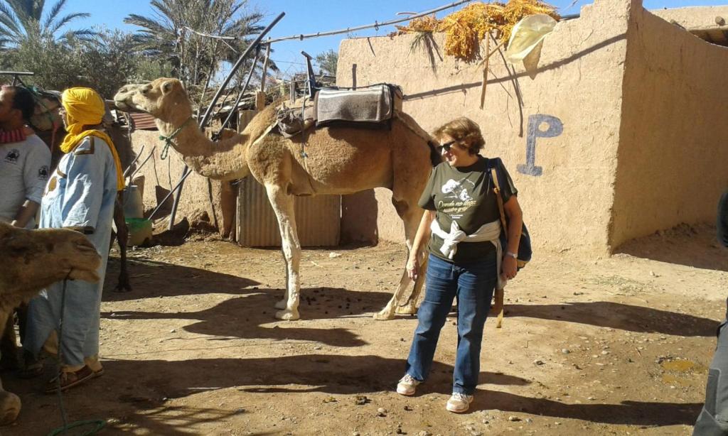 Dar dmana chez l'habitant, Skoura