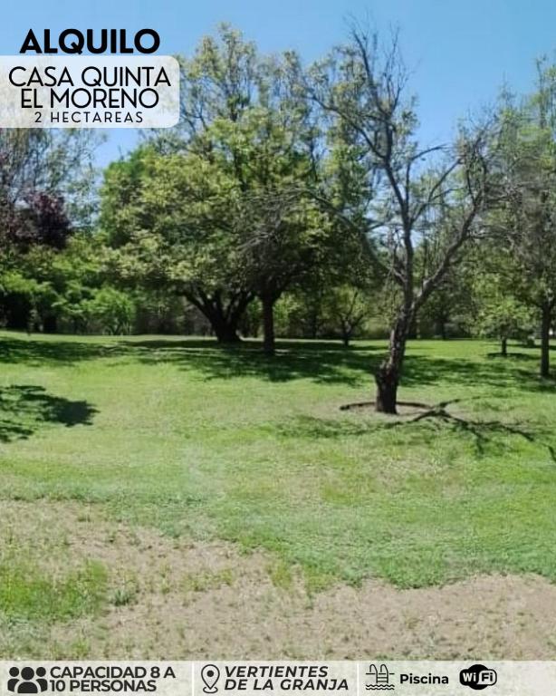 El morenito - 2