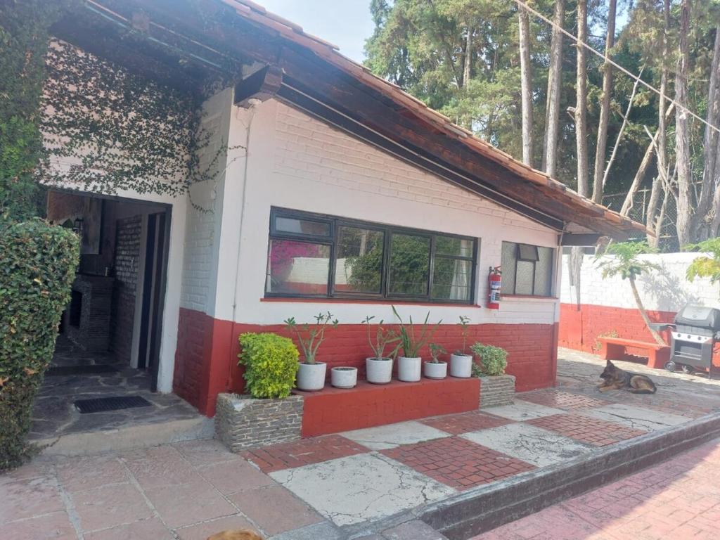 Casa Grande, Casita, Gran Jardín, Juegos para 19 personas en el Pueblo - 4