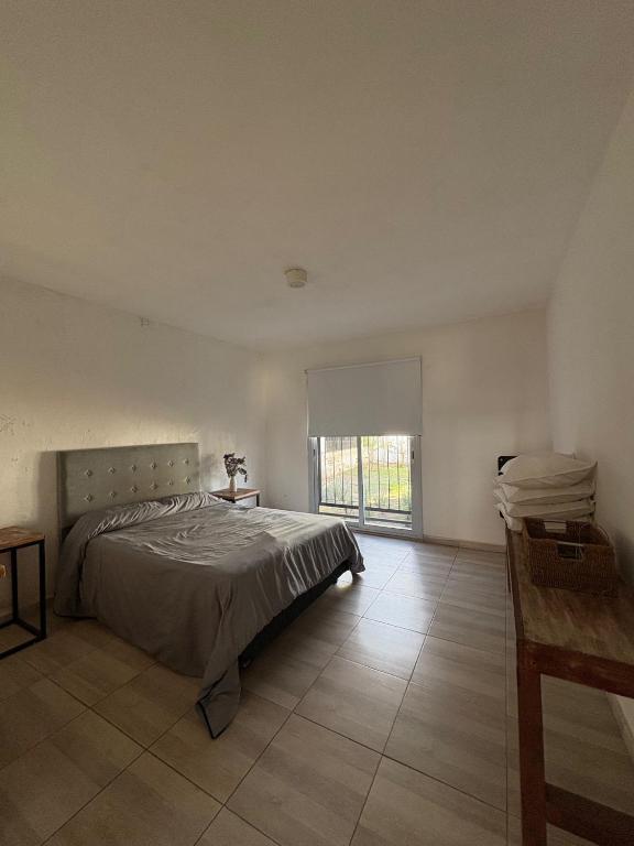 Casa Guemes, pet friendly - 2