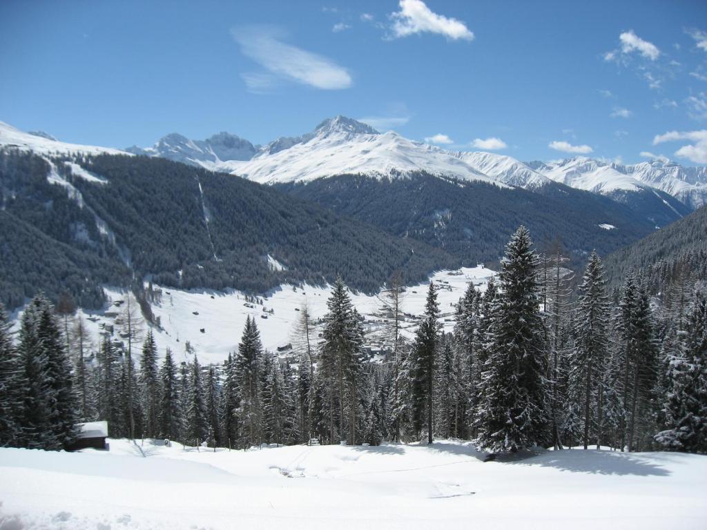 New renovated apartment in center of Davos - 4