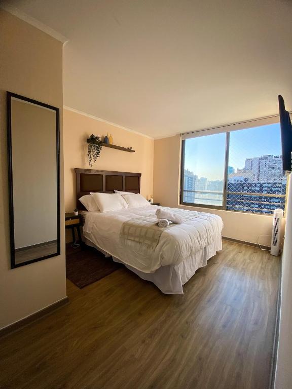 Apartment in downtown Santiago, parking - 3