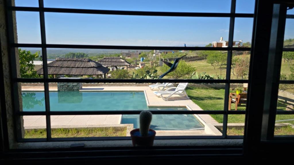 Cabañas el búho - 2