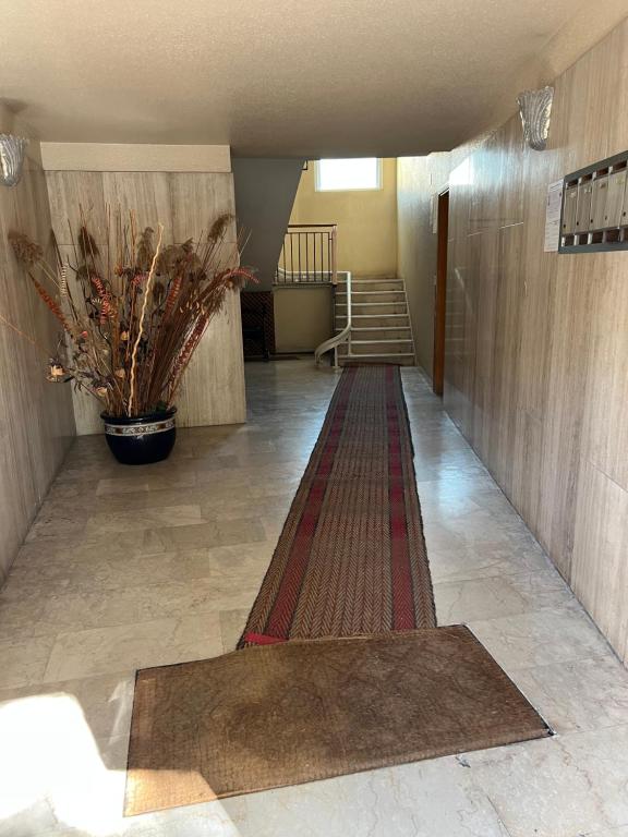 Stefany house - 3