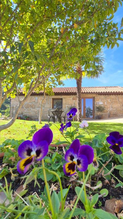 Quinta do Limite - Casa do Camponês, Covilhã