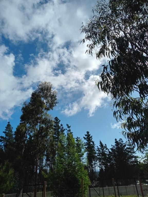 Cabañas Oasis Laguna Verde - 3