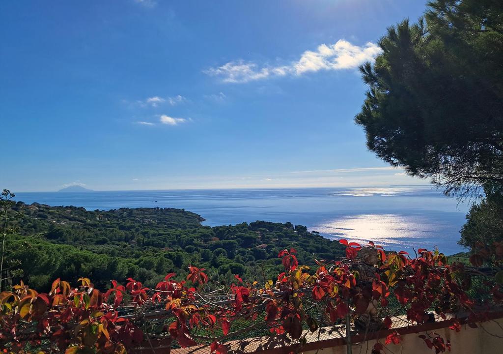 Arlecchino, Capoliveri