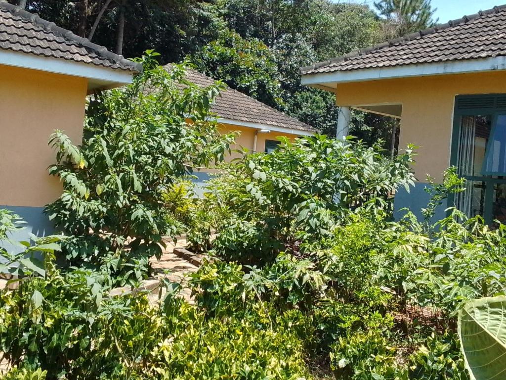 Maridadi Beach, Butema