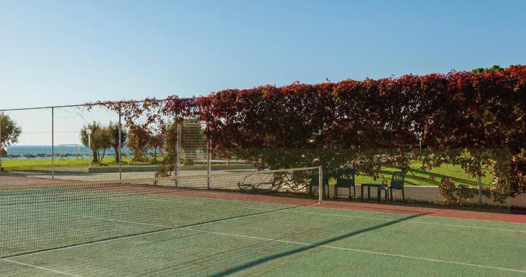 Blue Sea Beach Resort — Sports & recreation in Faliraki, South Aegean