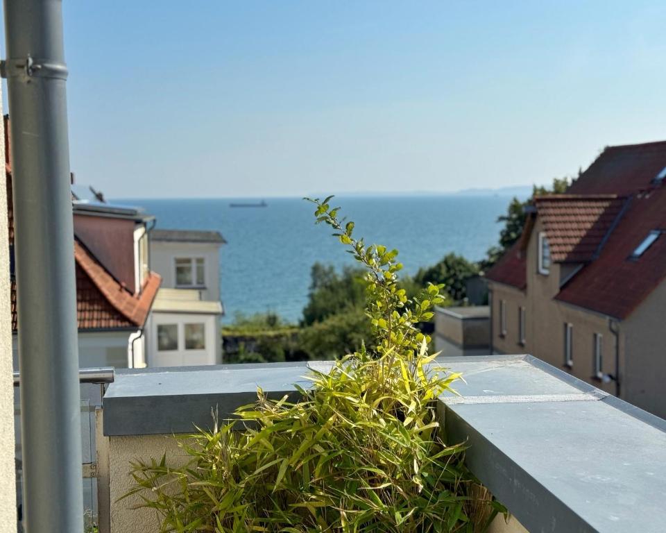 Sassnitz - Penthouse Molenfeuer Mühlenstraße, Sassnitz