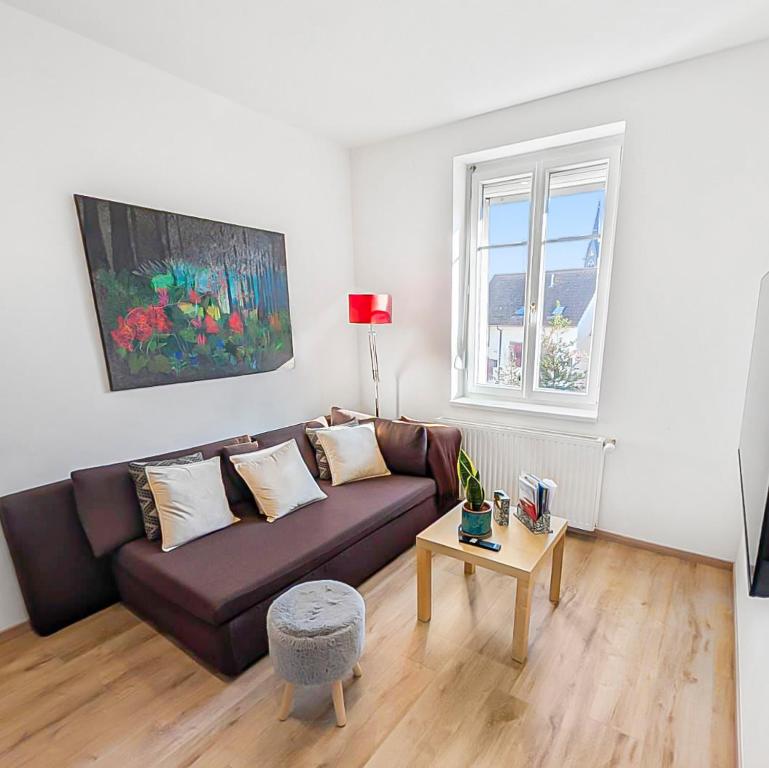 Lumineux et accueillant, proche Strasbourg, Schiltigheim