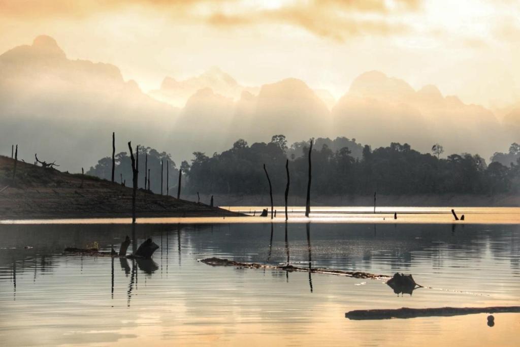 Surrounding environment