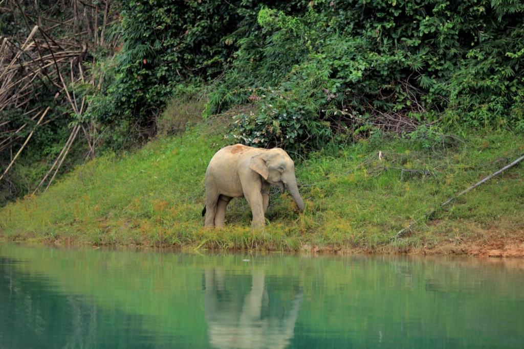 Surrounding environment