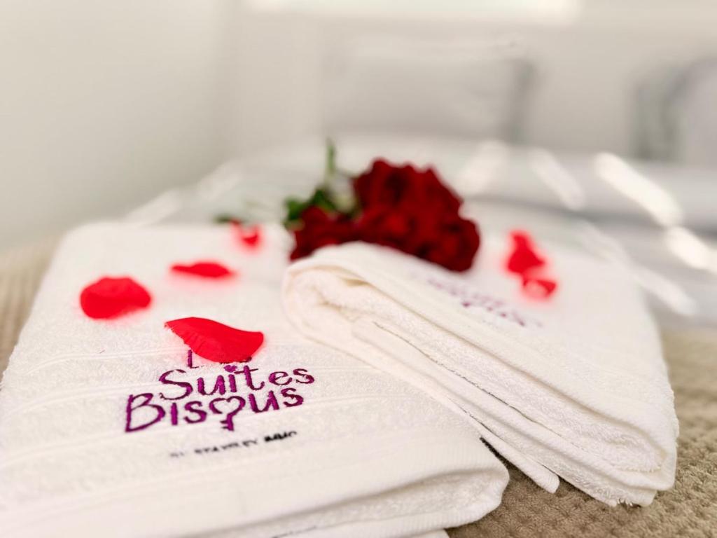 Les Suites Bisous Metz - Jacuzzi & Private Sauna - 5
