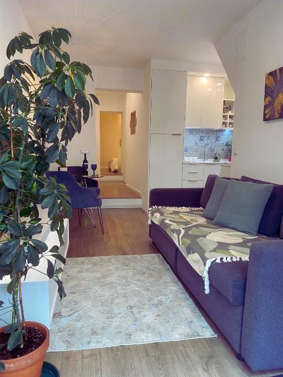 Casa Santa Clara, Lisbon