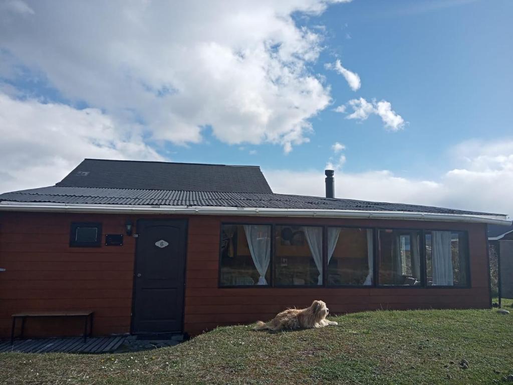 Cabañas Lago Tyndall - 2