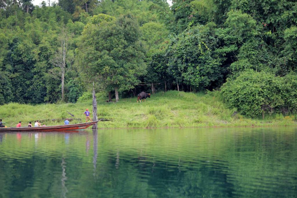 Surrounding environment