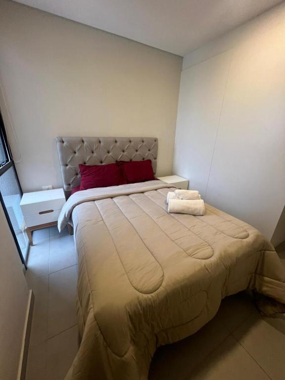Stylish 2 bedroom apt in Molas Lopez - 3