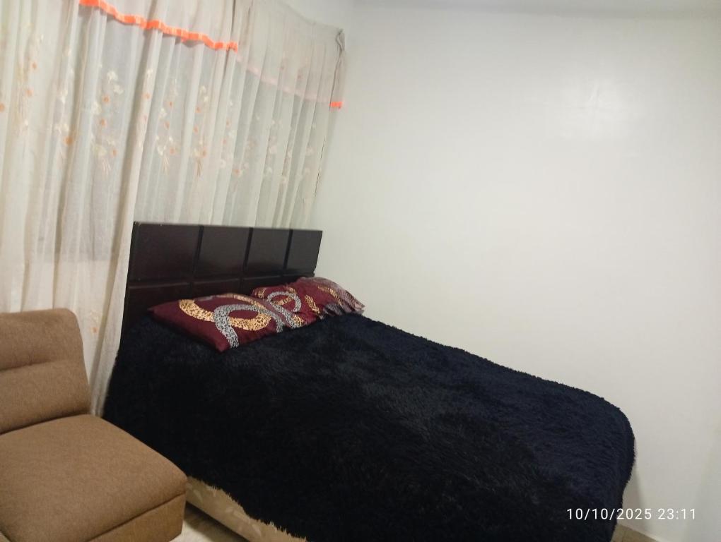 Alojamiento colibrí, San Antonio