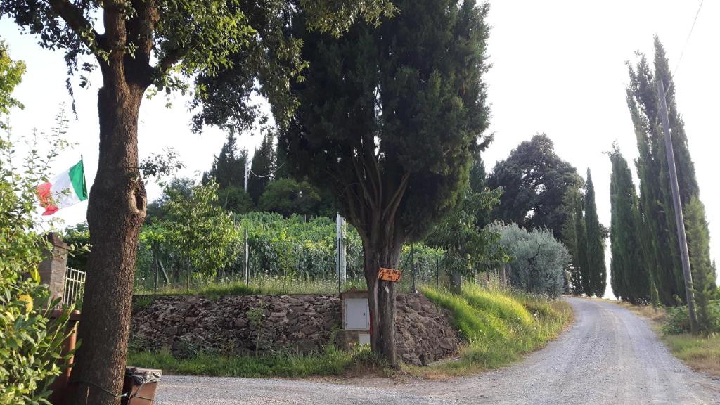 Agriturismo Villino del Grillo - 4